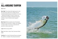 SAGE Salt R8 Fly Rod -Aanbevolen Winkels Voor Visuitrusting SAGE Salt R8 Fly Rod 03 17 XXX 16