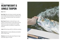 SAGE Salt R8 Fly Rod -Aanbevolen Winkels Voor Visuitrusting SAGE Salt R8 Fly Rod 03 17 XXX 17