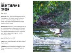 SAGE Salt R8 Fly Rod -Aanbevolen Winkels Voor Visuitrusting SAGE Salt R8 Fly Rod 03 17 XXX 9