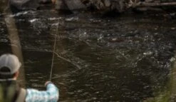 SAGE Sense Fly Rod 17 SAGE Sense Fly Rod -Aanbevolen Winkels Voor Visuitrusting SAGE Sense Fly Rod SAGESENSEROD XXX sense tube2