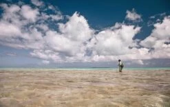 Sage Maverick Fly Rod 25 Sage Maverick Fly Rod -Aanbevolen Winkels Voor Visuitrusting Sage Maverick Fly Rod 03 54XXXX maverick 2