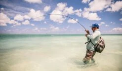 Sage Maverick Fly Rod 26 Sage Maverick Fly Rod -Aanbevolen Winkels Voor Visuitrusting Sage Maverick Fly Rod 03 54XXXX maverick 3