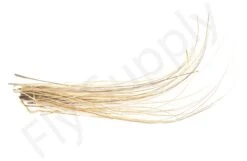 Stripped Quills 25pc -Aanbevolen Winkels Voor Visuitrusting Stripped Quills 25pc STRIPQLLS XXX dsc03288 bewerkt