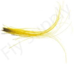 Stripped Quills 25pc -Aanbevolen Winkels Voor Visuitrusting Stripped Quills 25pc STRIPQLLS XXX dsc03295 bewerkt