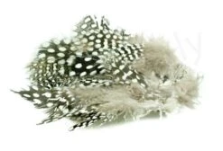 Strung Guinea Feathers