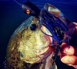 Surface Seducer Dragon Eyes 20pc -Aanbevolen Winkels Voor Visuitrusting Surface Seducer Dragon Eyes 20pc DRAGONEYES XXX dragon eyes mix3