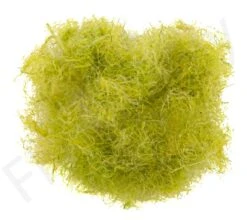 Swiss CDC Dubbing -Aanbevolen Winkels Voor Visuitrusting Swiss CDC Dubbing SWSCDCDUB X dsc04725 bewerkt