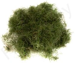 Swiss CDC Dubbing -Aanbevolen Winkels Voor Visuitrusting Swiss CDC Dubbing SWSCDCDUB X dsc04726