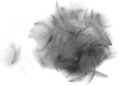 Swiss CDC Ultra Select XL Feathers 24 Swiss CDC Ultra Select XL Feathers -Aanbevolen Winkels Voor Visuitrusting Swiss CDC Ultra Select XL Feathers SWSCDCUSL X ultra violet 9