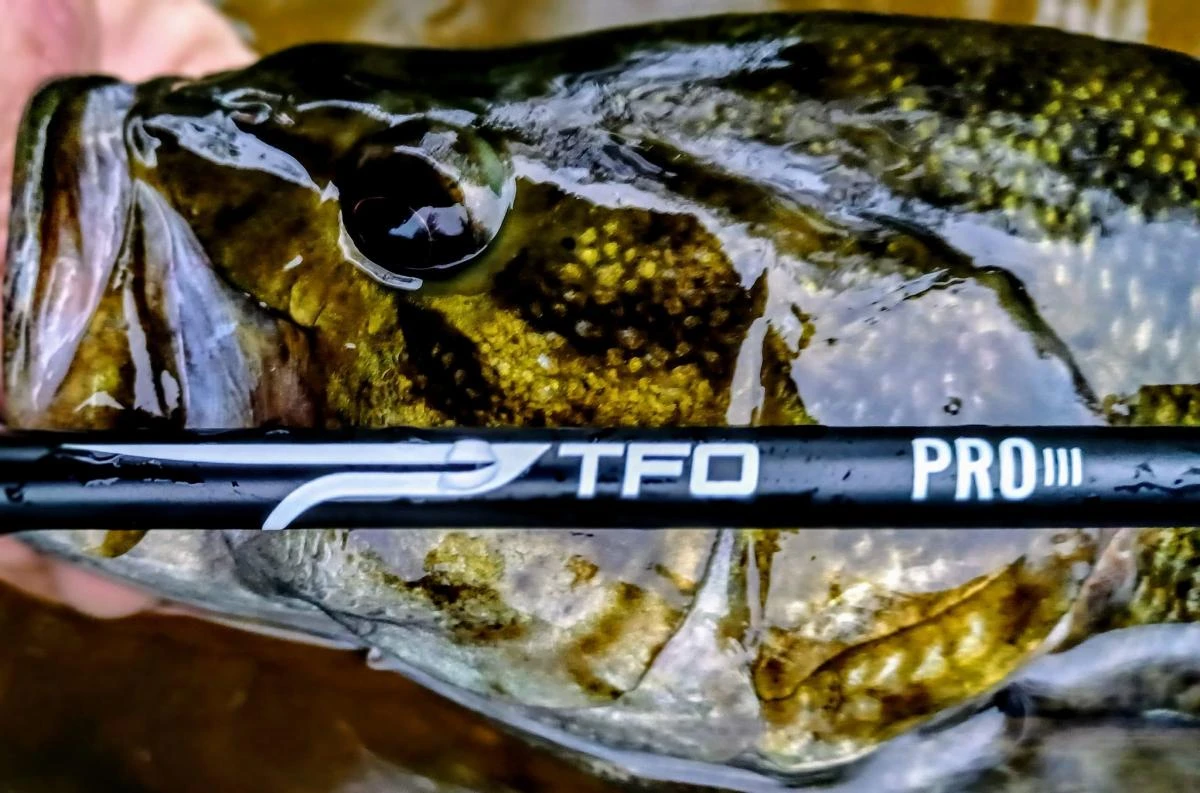 TFO Pro III Fly Rod 6 TFO Pro III Fly Rod - Afbeelding 4