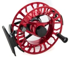 Taylor Elemnt Fly Reel Ruby Red -Aanbevolen Winkels Voor Visuitrusting Taylor Elemnt Fly Reel Ruby Red NFD9111RUBYRED XXX dsc 0057