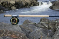 Thomas & Thomas DNA Spey Fly Rod 9 Thomas & Thomas DNA Spey Fly Rod -Aanbevolen Winkels Voor Visuitrusting Thomas Thomas DNA Spey Fly Rod DNASPEY XXX s2chermafbeelding 2022 10 19 om 17.19
