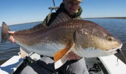 Thomas & Thomas Exocett SS Fly Rod 9 Thomas & Thomas Exocett SS Fly Rod -Aanbevolen Winkels Voor Visuitrusting Thomas Thomas Exocett SS Fly Rod THOMAS SS XXX s4chermafbeelding 2022 10 20 om 08.47