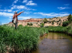 Thomas & Thomas Lotic Fly Rod 9 Thomas & Thomas Lotic Fly Rod -Aanbevolen Winkels Voor Visuitrusting Thomas Thomas Lotic Fly Rod LOTIC XXX schermafbeelding 2022 10 19 om 17.07