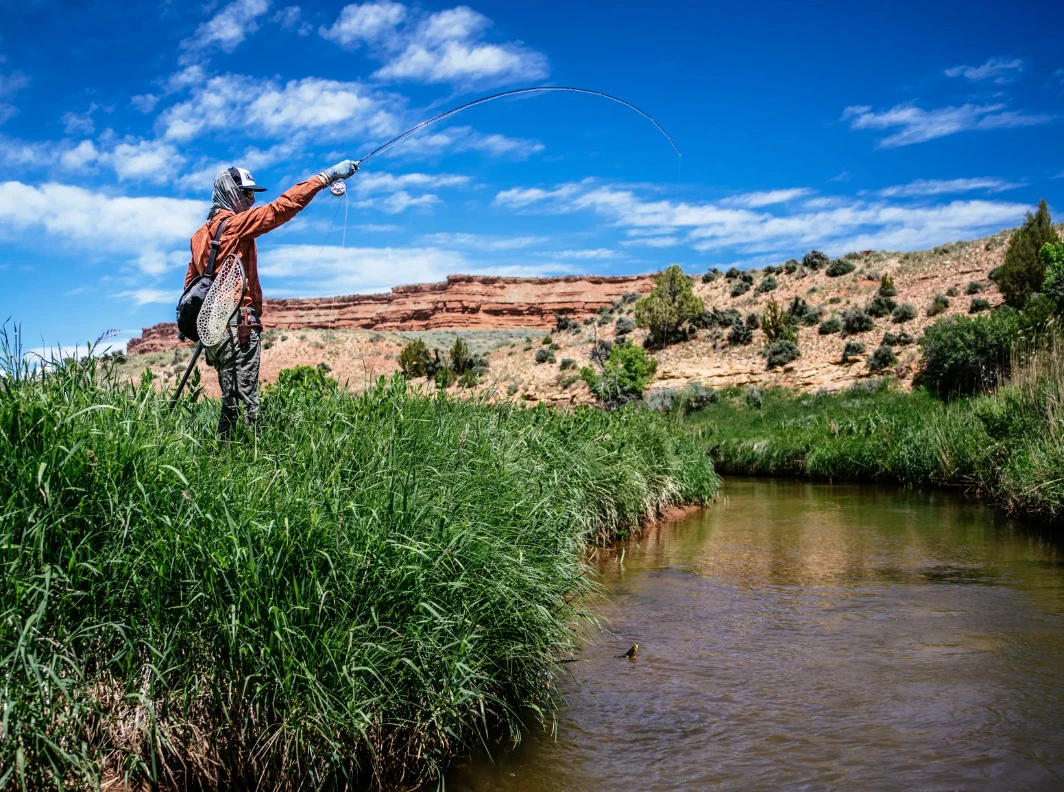 Thomas & Thomas Lotic Fly Rod 5 Thomas & Thomas Lotic Fly Rod - Afbeelding 3