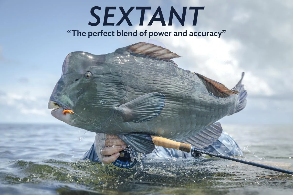 Thomas & Thomas Sextant Fly Rod 10 Thomas & Thomas Sextant Fly Rod - Afbeelding 8