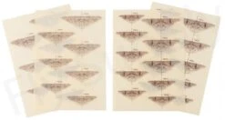 Tiemco Realistic Fly Wings III -Aanbevolen Winkels Voor Visuitrusting Tiemco Realistic Fly Wings III TMC REALWING XXX dsc00817 bewerkt wm