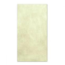 Tiemco Shimazaki Fly Wing V -Aanbevolen Winkels Voor Visuitrusting Tiemco Shimazaki Fly Wing V TMC FLYWINGV XXX tiemco fly wing v dirty yellow