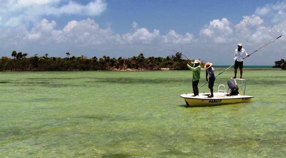 Airflo Super DRI Bonefish Intermediate 1.5 Inch Per Sec Clear Blue Fly Line 4 Airflo Super DRI Bonefish Intermediate 1.5 Inch Per Sec Clear Blue Fly Line - Afbeelding 2