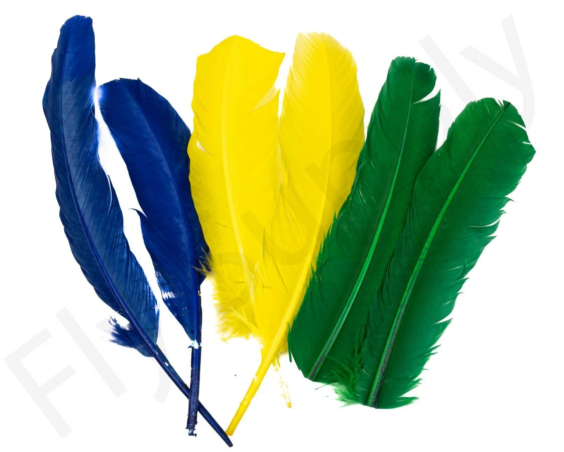 Turkey Wing Quills 3 Turkey Wing Quills