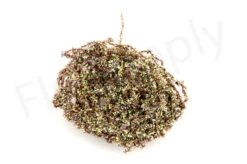 Crystal Nymph Chenille 2 Mm 29 Crystal Nymph Chenille 2 Mm -Aanbevolen Winkels Voor Visuitrusting VB CH 29