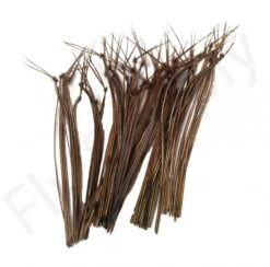 Veniard Cock Pheasant Hopper Legs 9 Veniard Cock Pheasant Hopper Legs -Aanbevolen Winkels Voor Visuitrusting Veniard Cock Pheasant Hopper Legs CPHL XXX Z dsc04971 bewerkt