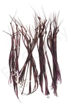 Veniard Cock Pheasant Hopper Legs 11 Veniard Cock Pheasant Hopper Legs -Aanbevolen Winkels Voor Visuitrusting Veniard Cock Pheasant Hopper Legs CPHL XXX Z dsc04972