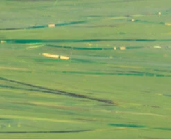 Veniard Krinkle Mirror Flash 15 Veniard Krinkle Mirror Flash -Aanbevolen Winkels Voor Visuitrusting Veniard Krinkle Mirror Flash KMF XXX Z dsc06616 bewerkt