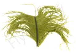 Veniard Ostrich Herl -Aanbevolen Winkels Voor Visuitrusting Veniard Ostrich Herl OSTH XXX medium olive