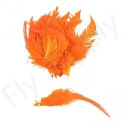 Veniard Schlappen Feathers 10 Veniard Schlappen Feathers -Aanbevolen Winkels Voor Visuitrusting Veniard Schlappen Feathers VEN SCHLA XXX dsc01672 bewerkt