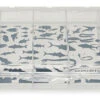 Vision Tube Fly Box Medium -Aanbevolen Winkels Voor Visuitrusting Vision Tube Fly Box Medium V108 vision tube 5compartments box1s
