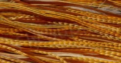 Whiting Bronze 1/2 Saddle -Aanbevolen Winkels Voor Visuitrusting Whiting Bronze 12 Saddle WHIT BRHFSAD X dsc03318 bewerkt 2 wm