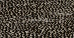 Whiting Bronze 1/2 Saddle -Aanbevolen Winkels Voor Visuitrusting Whiting Bronze 12 Saddle WHIT BRHFSAD X dsc03326 bewerkt 2 wm