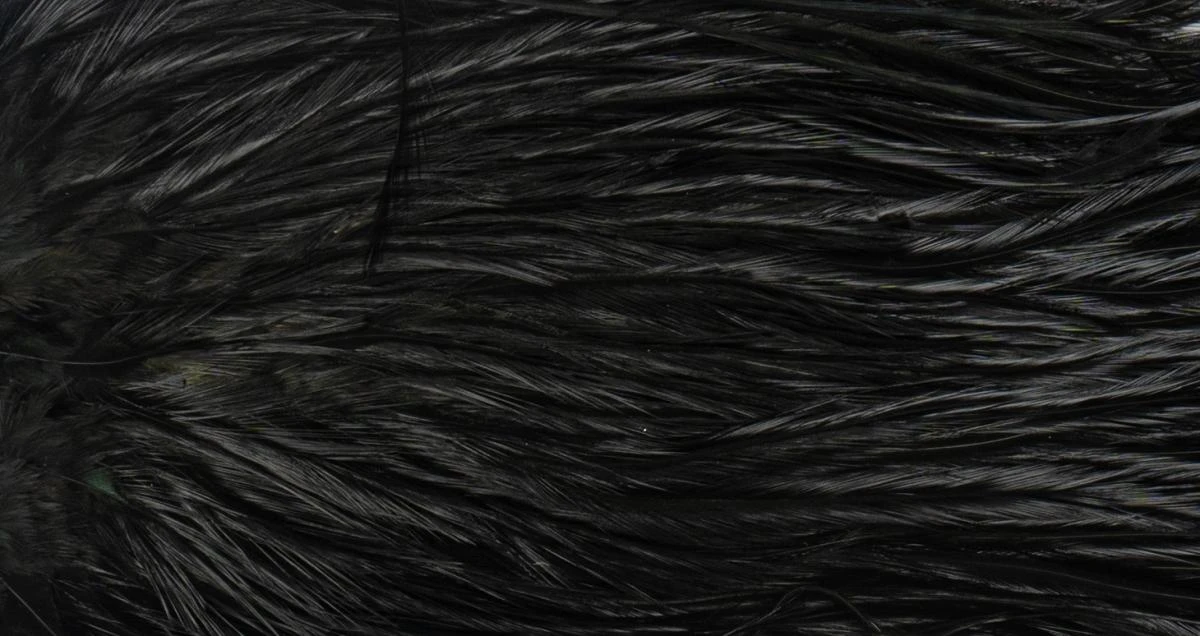 Whiting Coq De Leon Saddle Silver 7 Whiting Coq De Leon Saddle Silver - Afbeelding 5