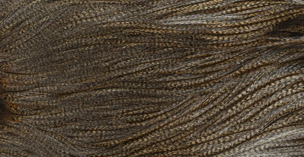 Whiting Coq De Leon Saddle Silver 11 Whiting Coq De Leon Saddle Silver - Afbeelding 9