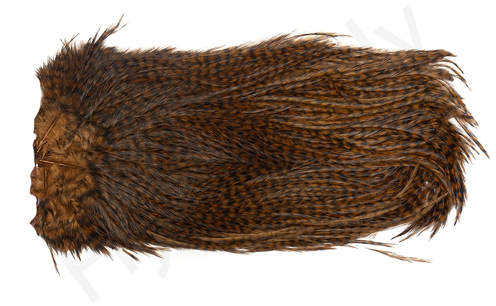 Whiting Coq De Leon Saddle Silver 14 Whiting Coq De Leon Saddle Silver - Afbeelding 12