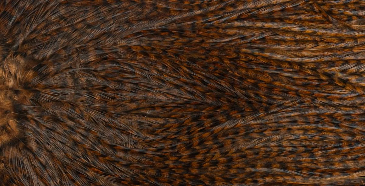 Whiting Coq De Leon Saddle Silver 13 Whiting Coq De Leon Saddle Silver - Afbeelding 11