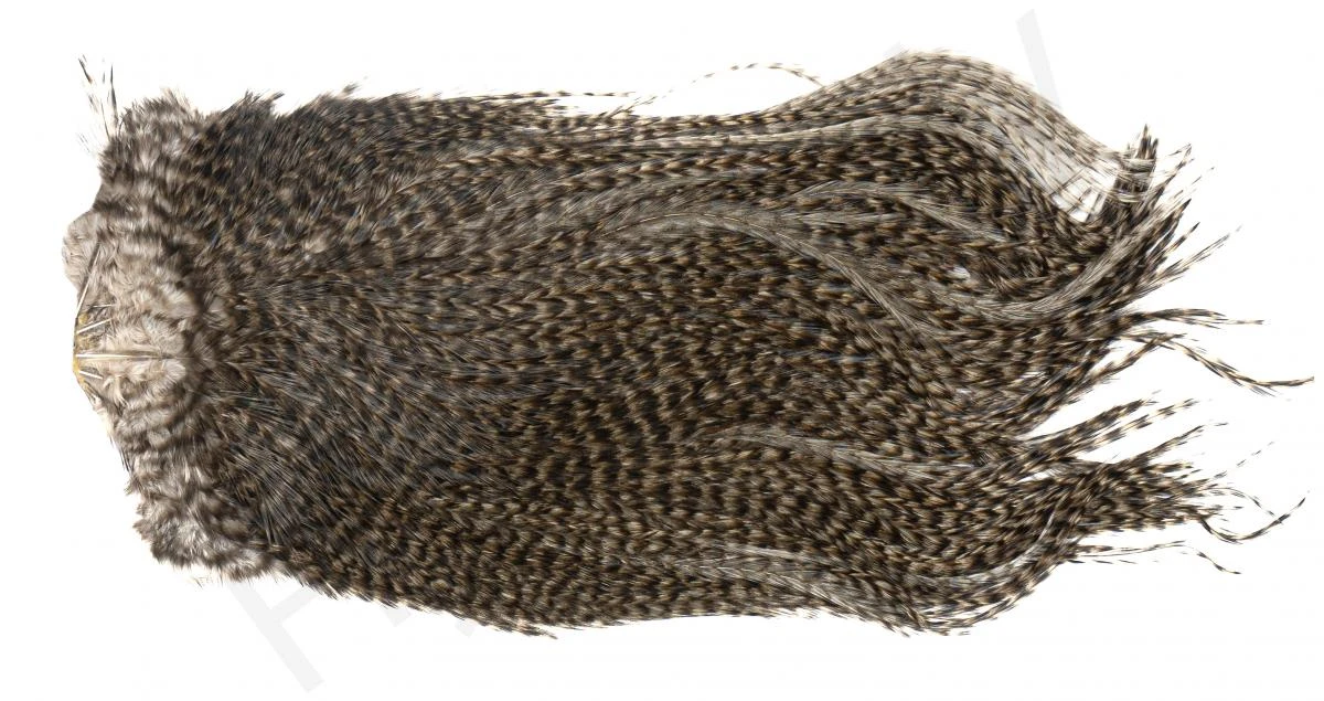 Whiting Coq De Leon Saddle Silver 12 Whiting Coq De Leon Saddle Silver - Afbeelding 10