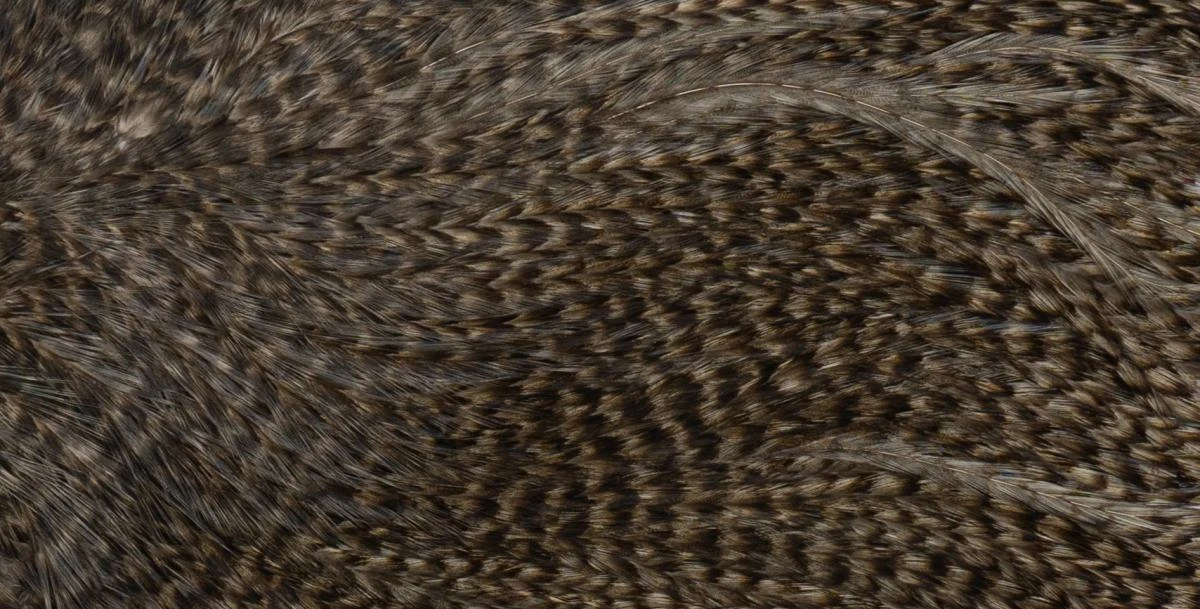 Whiting Coq De Leon Saddle Silver 15 Whiting Coq De Leon Saddle Silver - Afbeelding 13