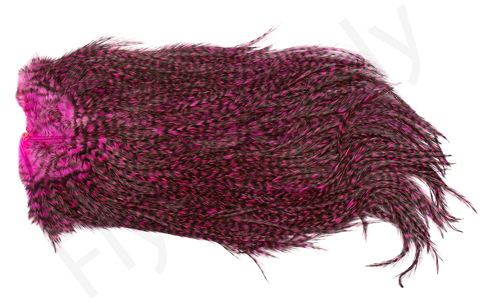 Whiting Coq De Leon Saddle Silver 22 Whiting Coq De Leon Saddle Silver - Afbeelding 20