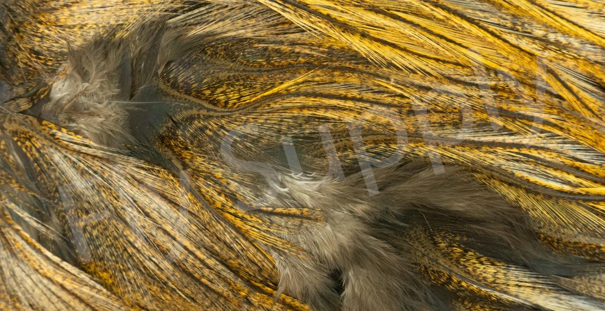 Whiting Coq De Leon Saddle Silver 9 Whiting Coq De Leon Saddle Silver - Afbeelding 7