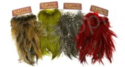 Whiting Coq De Leon Saddle Silver