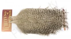 Whiting Coq De Leon Cape -Aanbevolen Winkels Voor Visuitrusting Whiting Coq de Leon Cape WCDLC X dsc08133 bewerkt