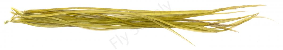 Whiting Dry Fly Saddle Feather Pack 18pc 14 Whiting Dry Fly Saddle Feather Pack 18pc - Afbeelding 12