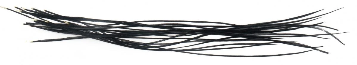 Whiting Dry Fly Saddle Feather Pack 60pc Mix Set With Hackle Gauge 17 Whiting Dry Fly Saddle Feather Pack 60pc Mix Set With Hackle Gauge - Afbeelding 15