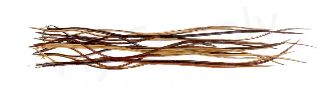 Whiting Dry Fly Saddle Feather Pack 60pc Mix Set With Hackle Gauge 11 Whiting Dry Fly Saddle Feather Pack 60pc Mix Set With Hackle Gauge - Afbeelding 9