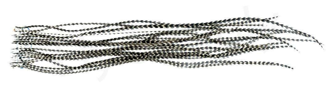 Whiting Dry Fly Saddle Feather Pack 60pc Mix Set With Hackle Gauge 12 Whiting Dry Fly Saddle Feather Pack 60pc Mix Set With Hackle Gauge - Afbeelding 10