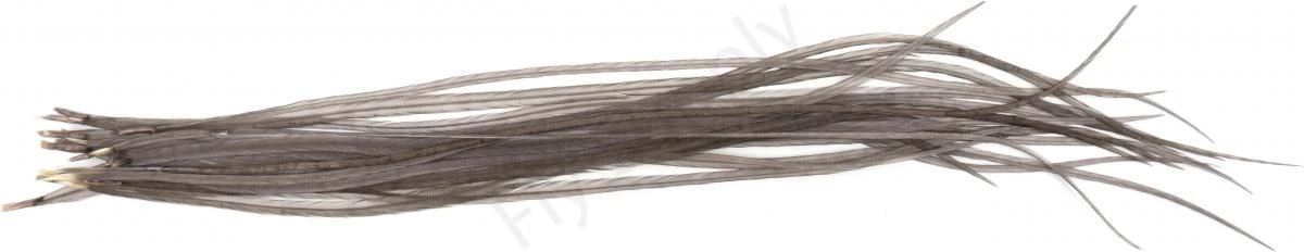 Whiting Dry Fly Saddle Feather Pack 60pc Mix Set With Hackle Gauge 20 Whiting Dry Fly Saddle Feather Pack 60pc Mix Set With Hackle Gauge - Afbeelding 18