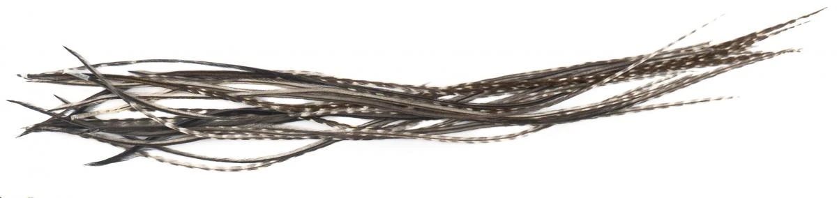 Whiting Dry Fly Saddle Feather Pack 60pc Mix Set With Hackle Gauge 16 Whiting Dry Fly Saddle Feather Pack 60pc Mix Set With Hackle Gauge - Afbeelding 14