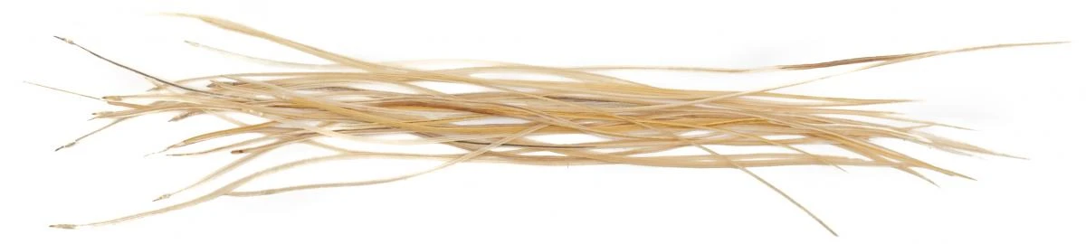 Whiting Dry Fly Saddle Feather Pack 60pc Mix Set With Hackle Gauge 18 Whiting Dry Fly Saddle Feather Pack 60pc Mix Set With Hackle Gauge - Afbeelding 16